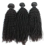 Mink Virgin Hair Kinky Curly Hair Bundles